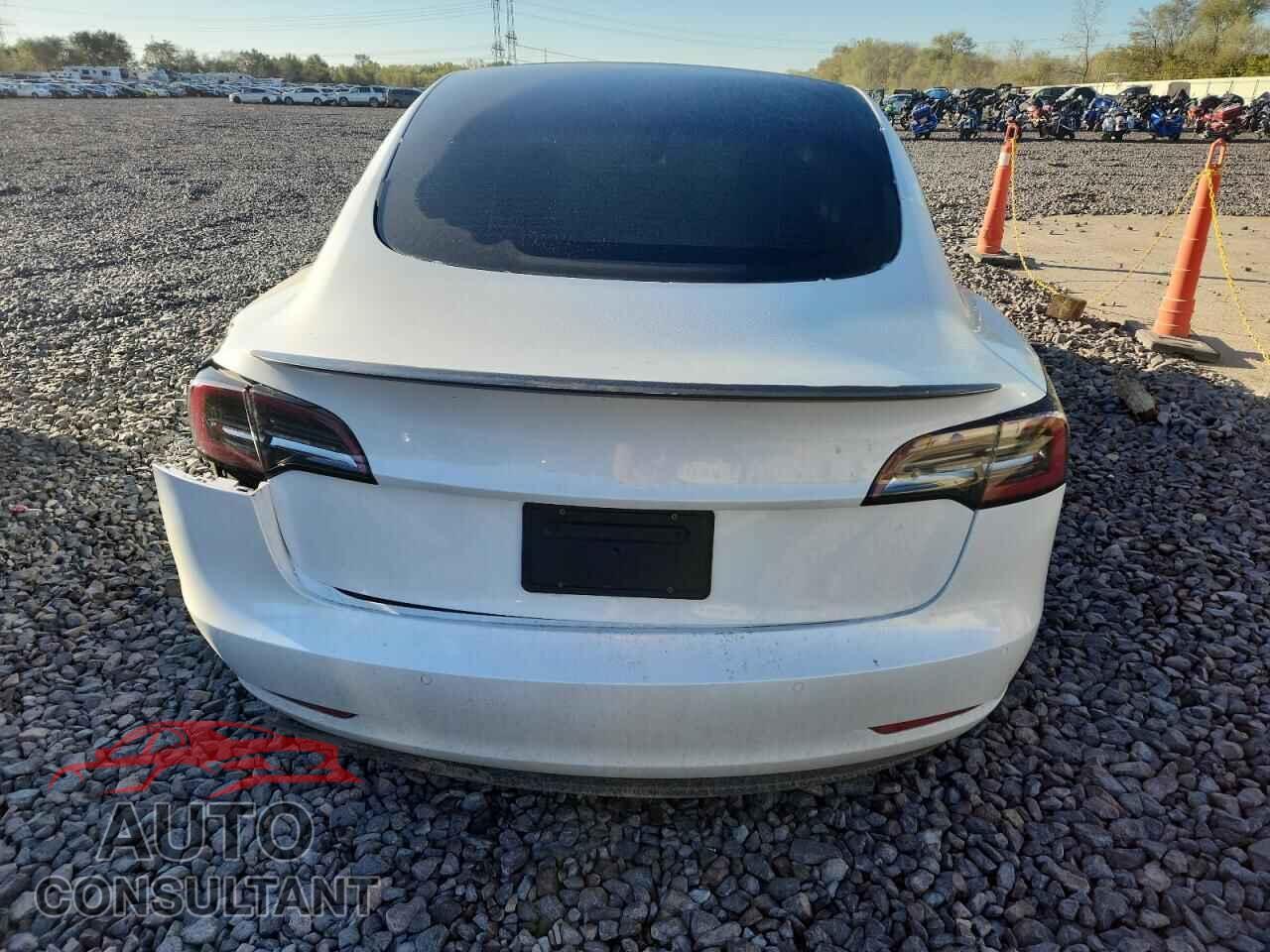 TESLA MODEL 3 2021 - 5YJ3E1EC3MF025781
