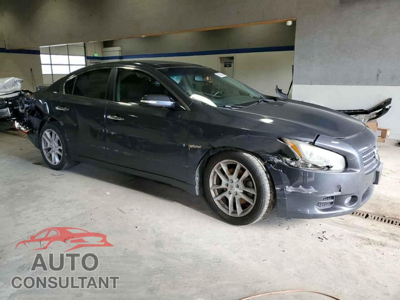 NISSAN MAXIMA 2010 - 1N4AA5AP1AC805005