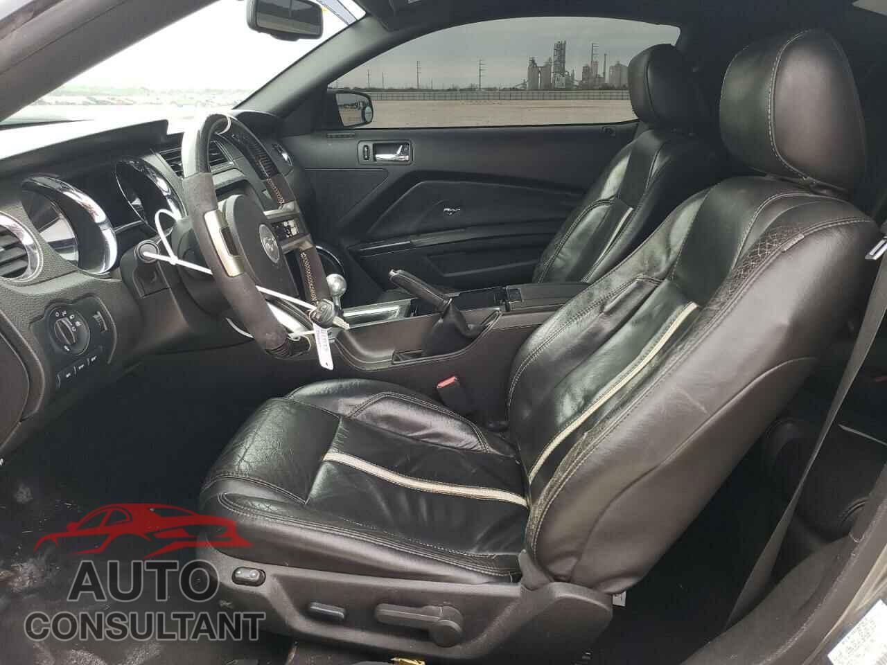 FORD MUSTANG 2010 - 1ZVBP8CHXA5158366