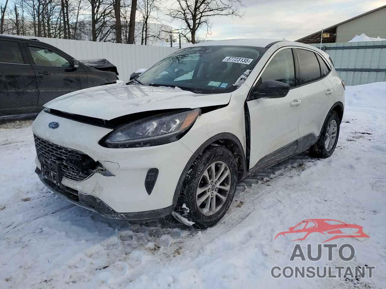 FORD ESCAPE 2022 - 1FMCU9G60NUB64103