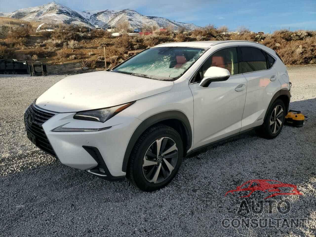 LEXUS NX 2019 - JTJBJRBZ2K2107447