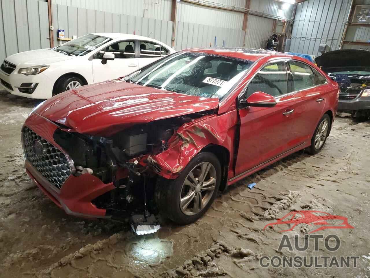 HYUNDAI SONATA 2019 - 5NPE34AF2KH820206