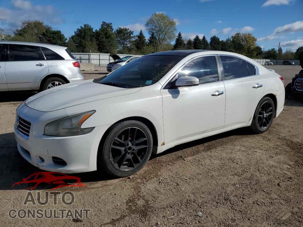 NISSAN MAXIMA 2011 - 1N4AA5AP3BC831798