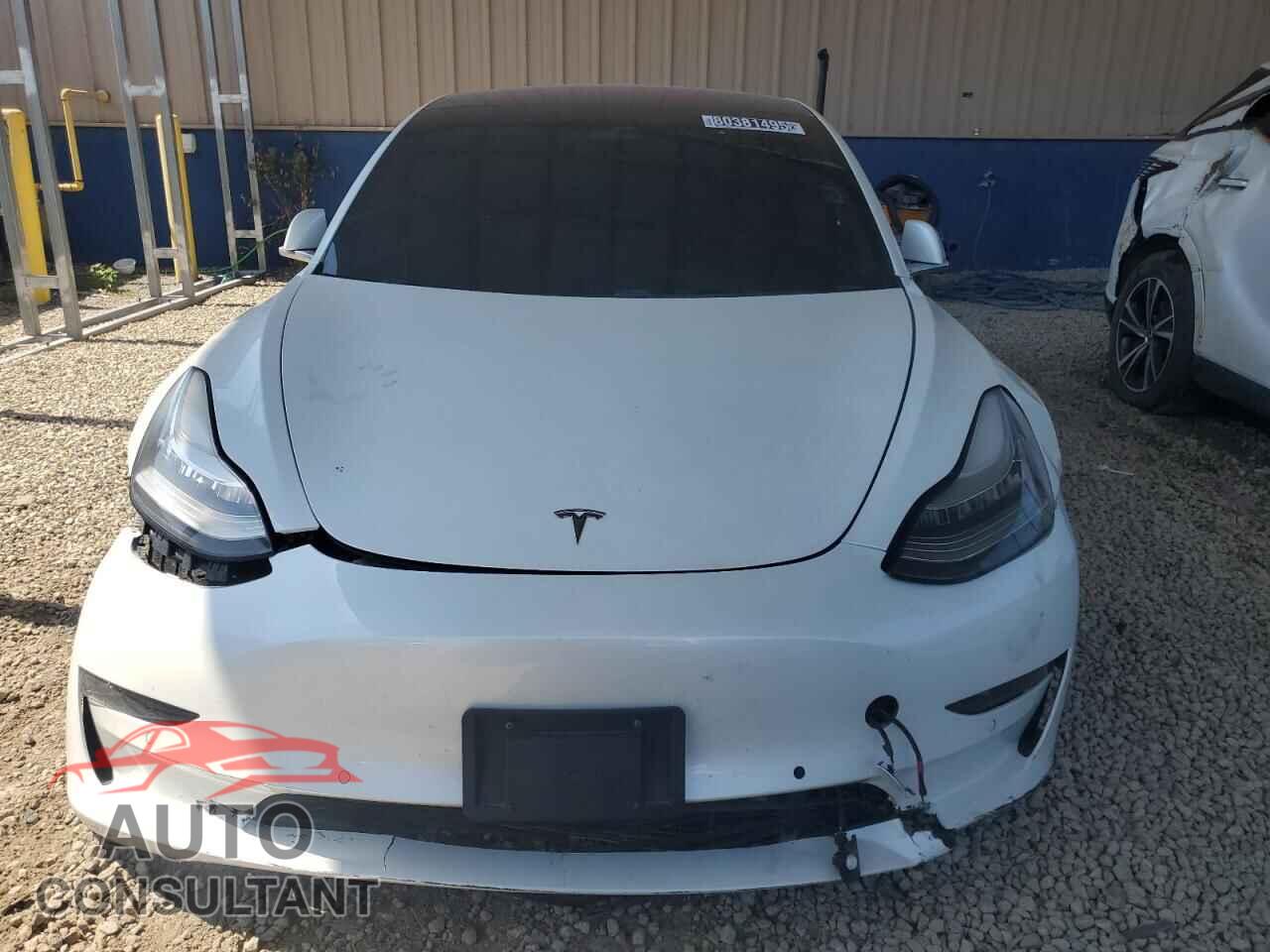 TESLA MODEL 3 2019 - 5YJ3E1EA3KF299901