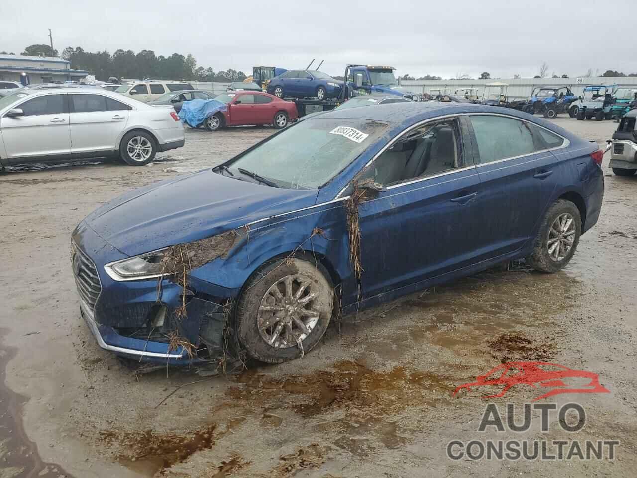 HYUNDAI SONATA 2018 - 5NPE24AF5JH714480