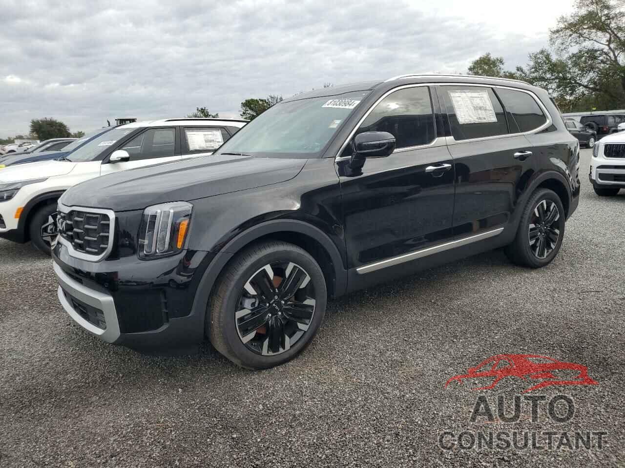 KIA TELLURIDE 2024 - 5XYP5DGC6RG469978