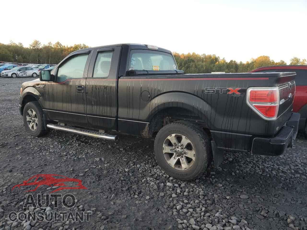 FORD F-150 2013 - 1FTFX1EF3DFD51822