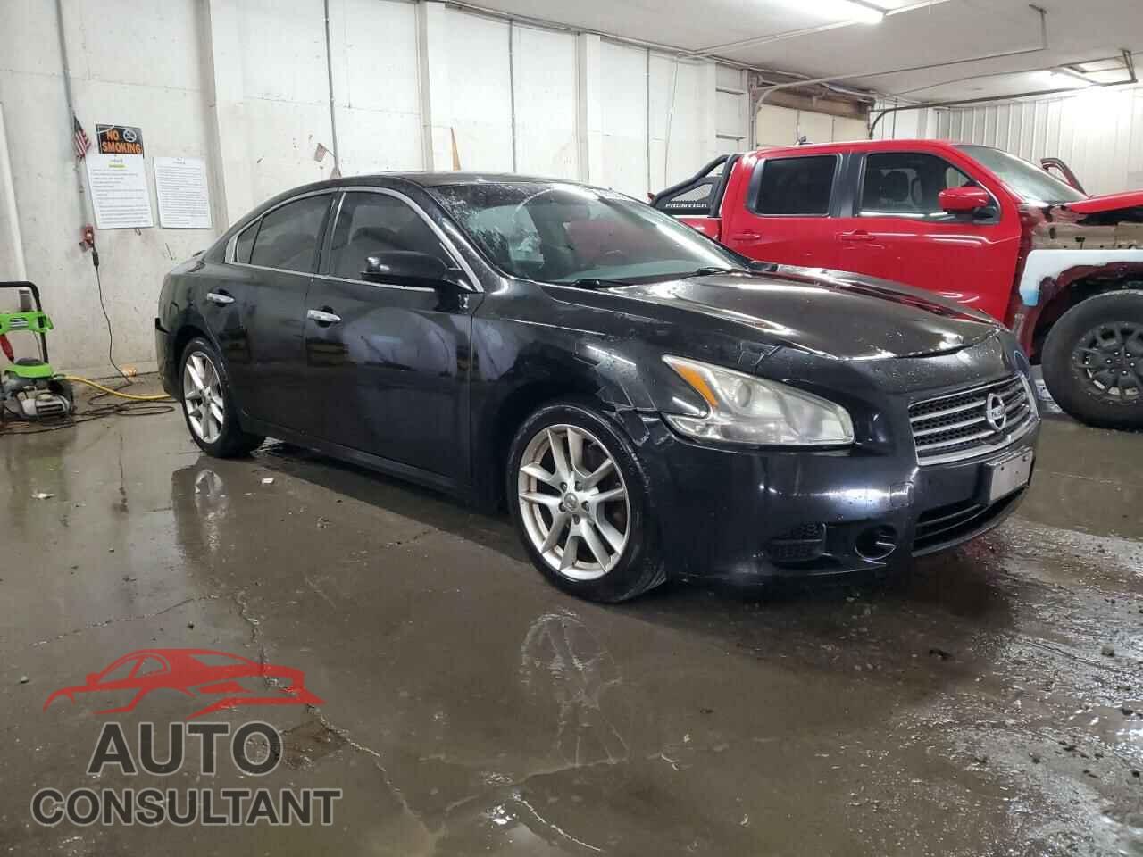 NISSAN MAXIMA 2009 - 1N4AA51E99C817896