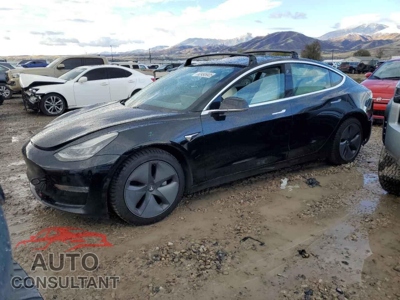 TESLA MODEL 3 2019 - 5YJ3E1EB5KF450505