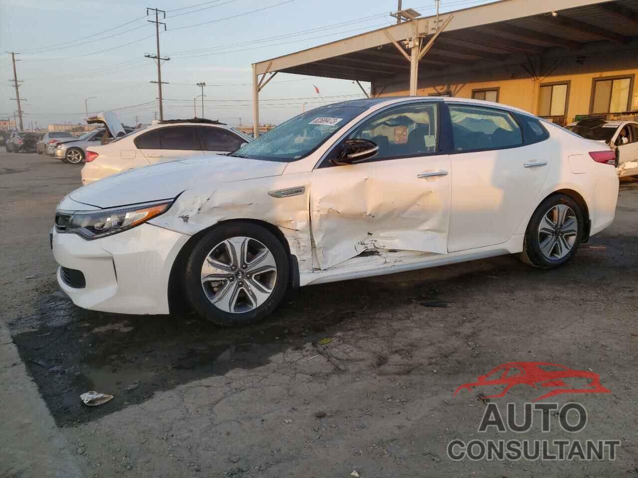 KIA OPTIMA 2019 - KNAGU4LE6K5032567