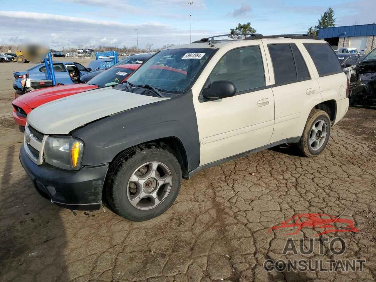 CHEVROLET TRAILBLZR 2009 - 1GNDT33S892126378