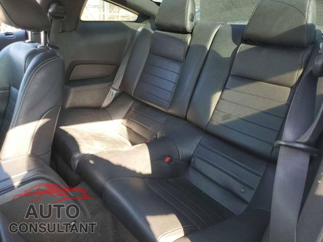 FORD MUSTANG 2011 - 1ZVBP8CF0B5131631
