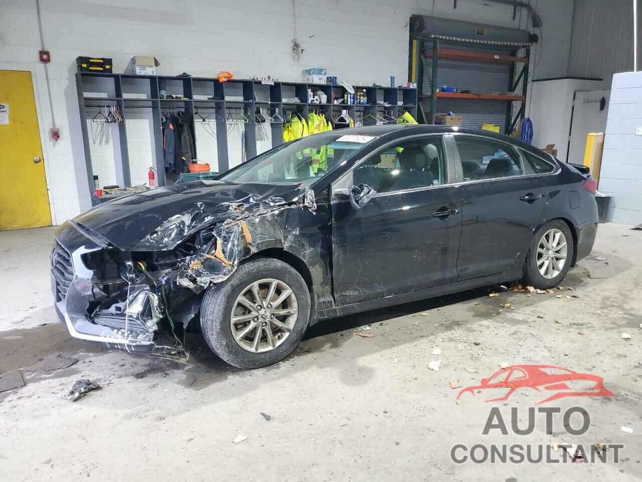 HYUNDAI SONATA 2019 - 5NPE24AF4KH781282