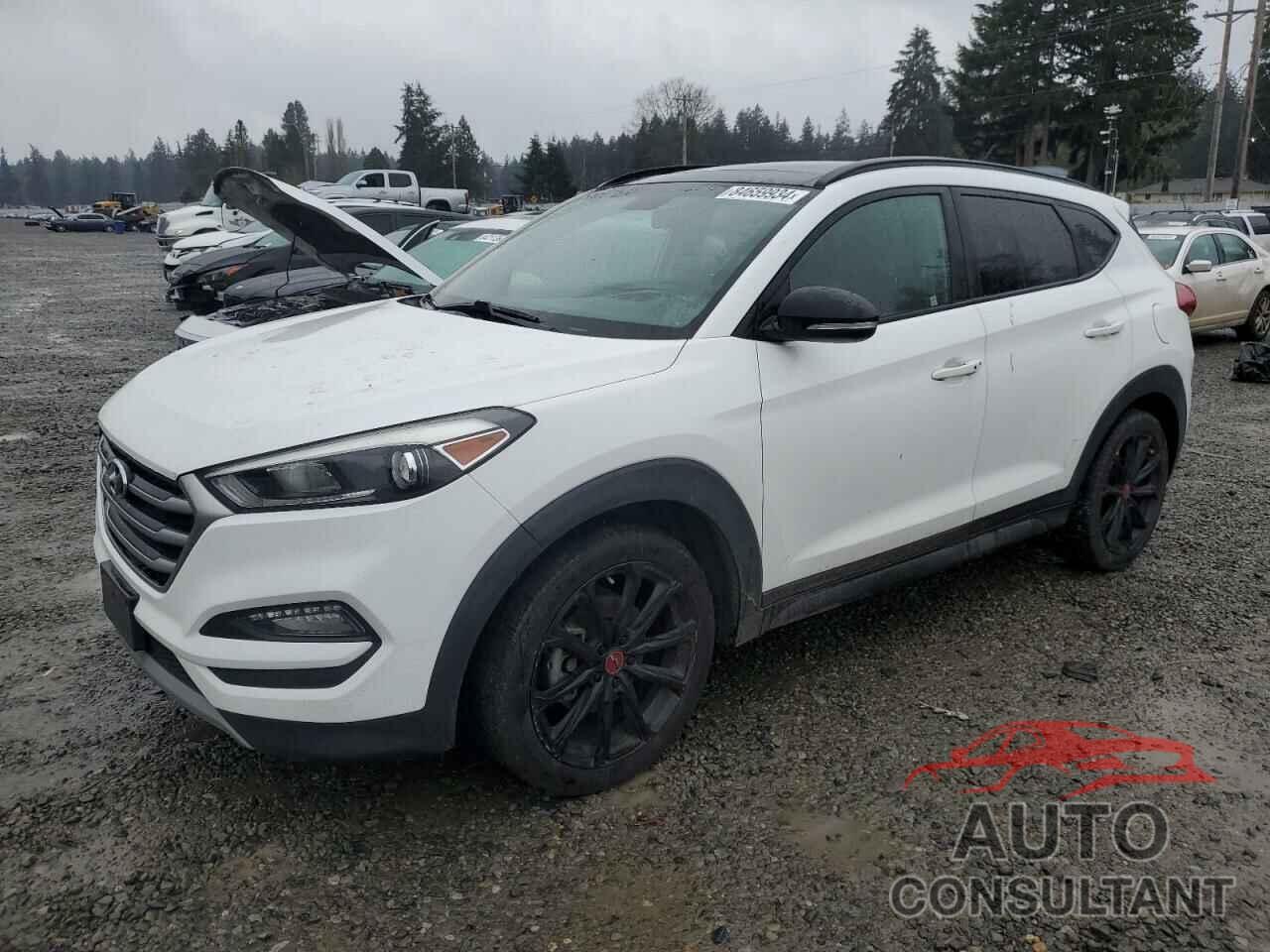 HYUNDAI TUCSON 2017 - KM8J33A25HU541185