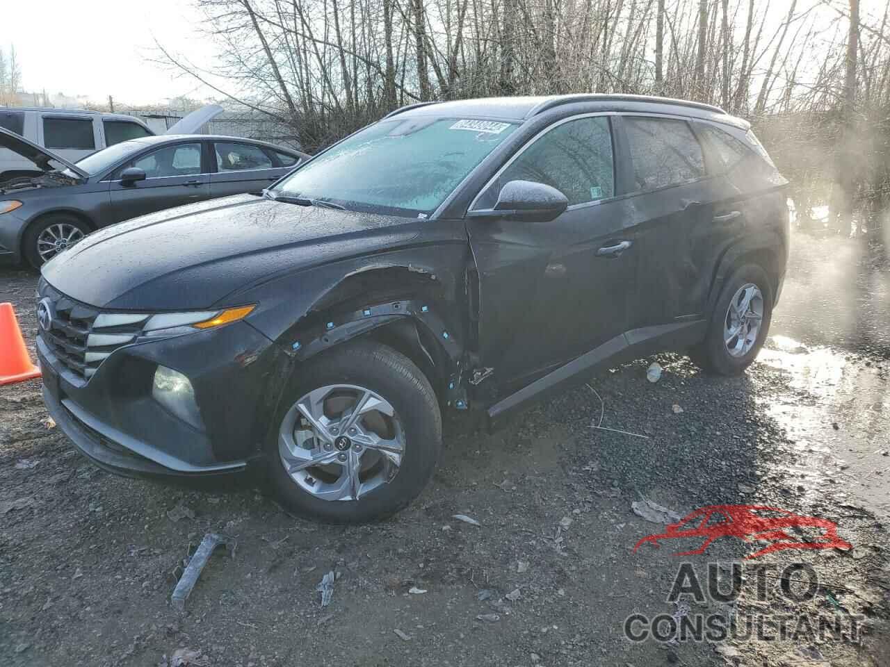 HYUNDAI TUCSON 2024 - 5NMJBCDE1RH390836