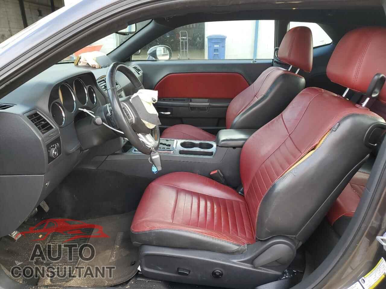 DODGE CHALLENGER 2013 - 2C3CDYBT4DH541789