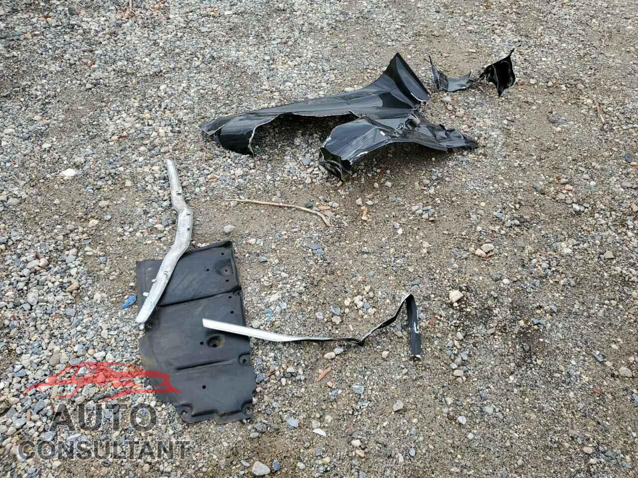 TESLA MODEL 3 2019 - 5YJ3E1EA8KF317261