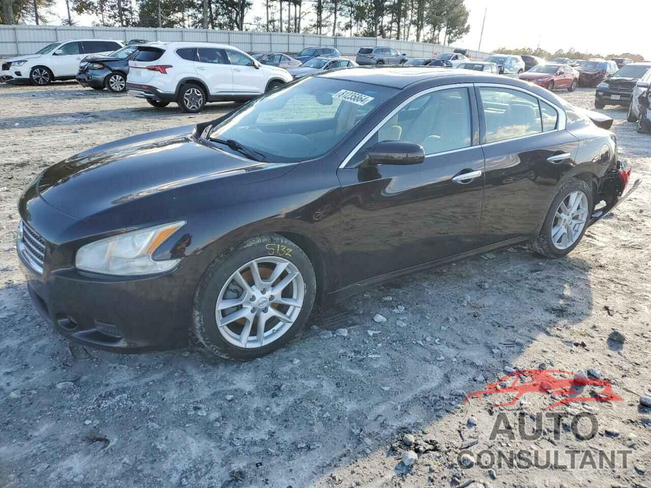 NISSAN MAXIMA 2011 - 1N4AA5AP0BC833718