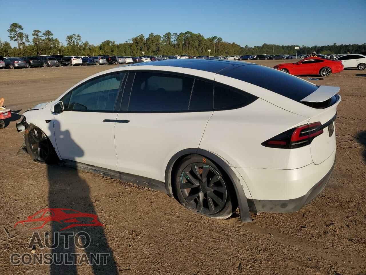 TESLA MODEL X 2023 - 7SAXCAE52PF384748