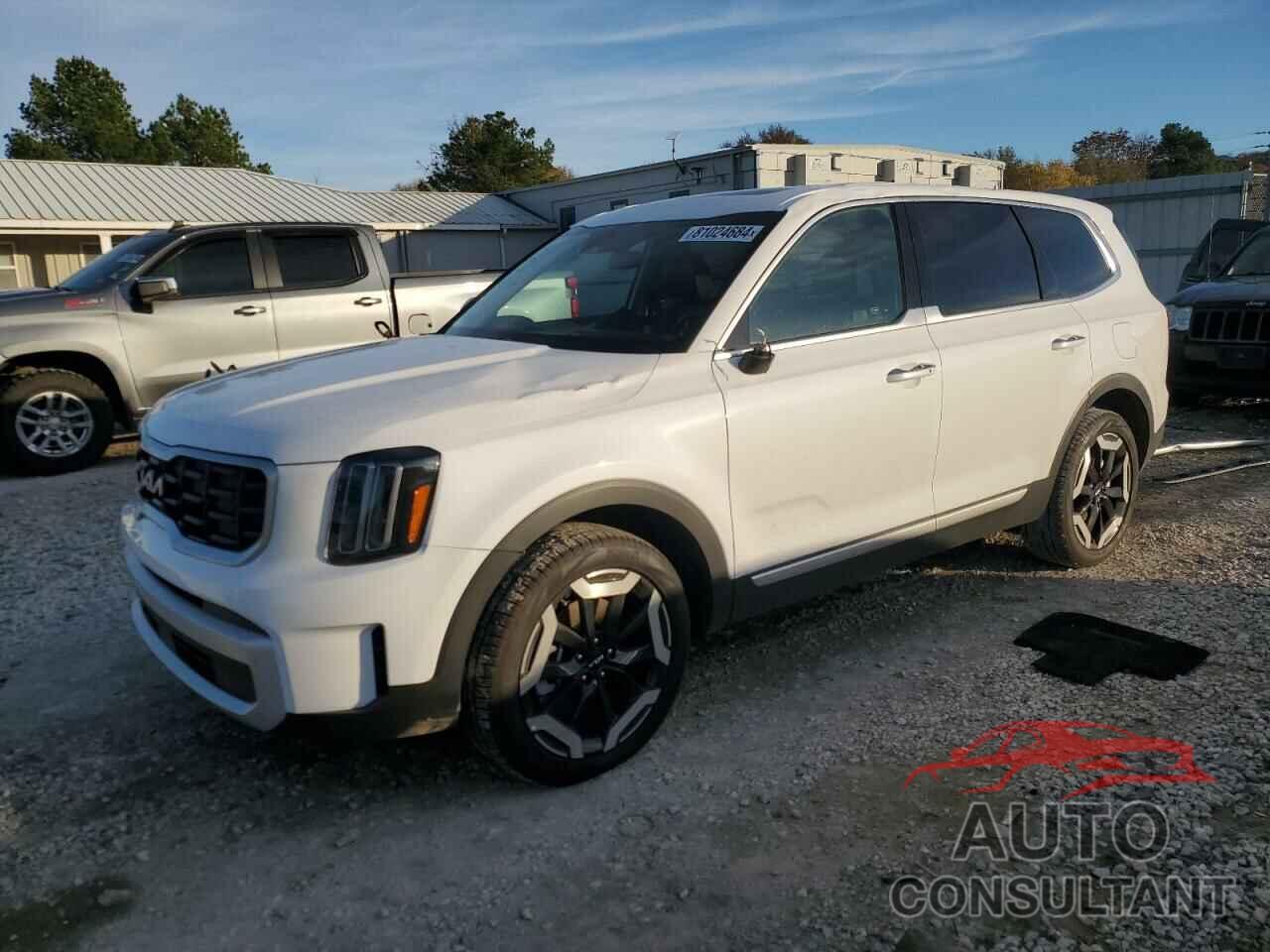 KIA TELLURIDE 2024 - 5XYP6DGC4RG555674