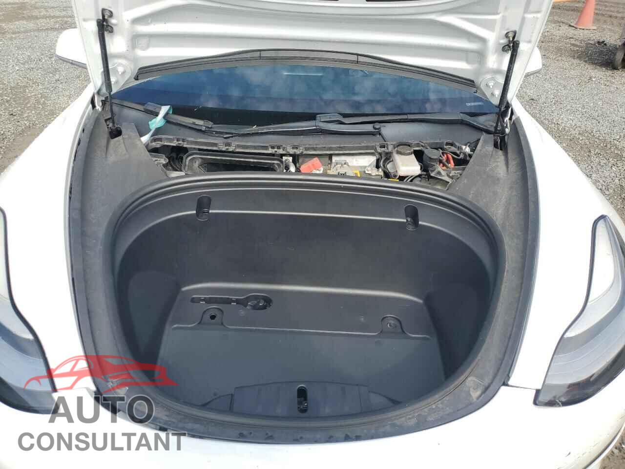TESLA MODEL 3 2020 - 5YJ3E1EB0LF619539