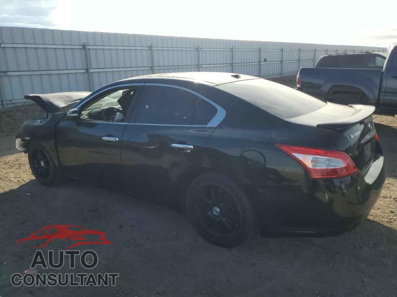 NISSAN MAXIMA 2011 - 1N4AA5AP1BC852925