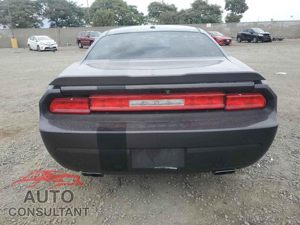 DODGE CHALLENGER 2013 - 2C3CDYAG2DH705013