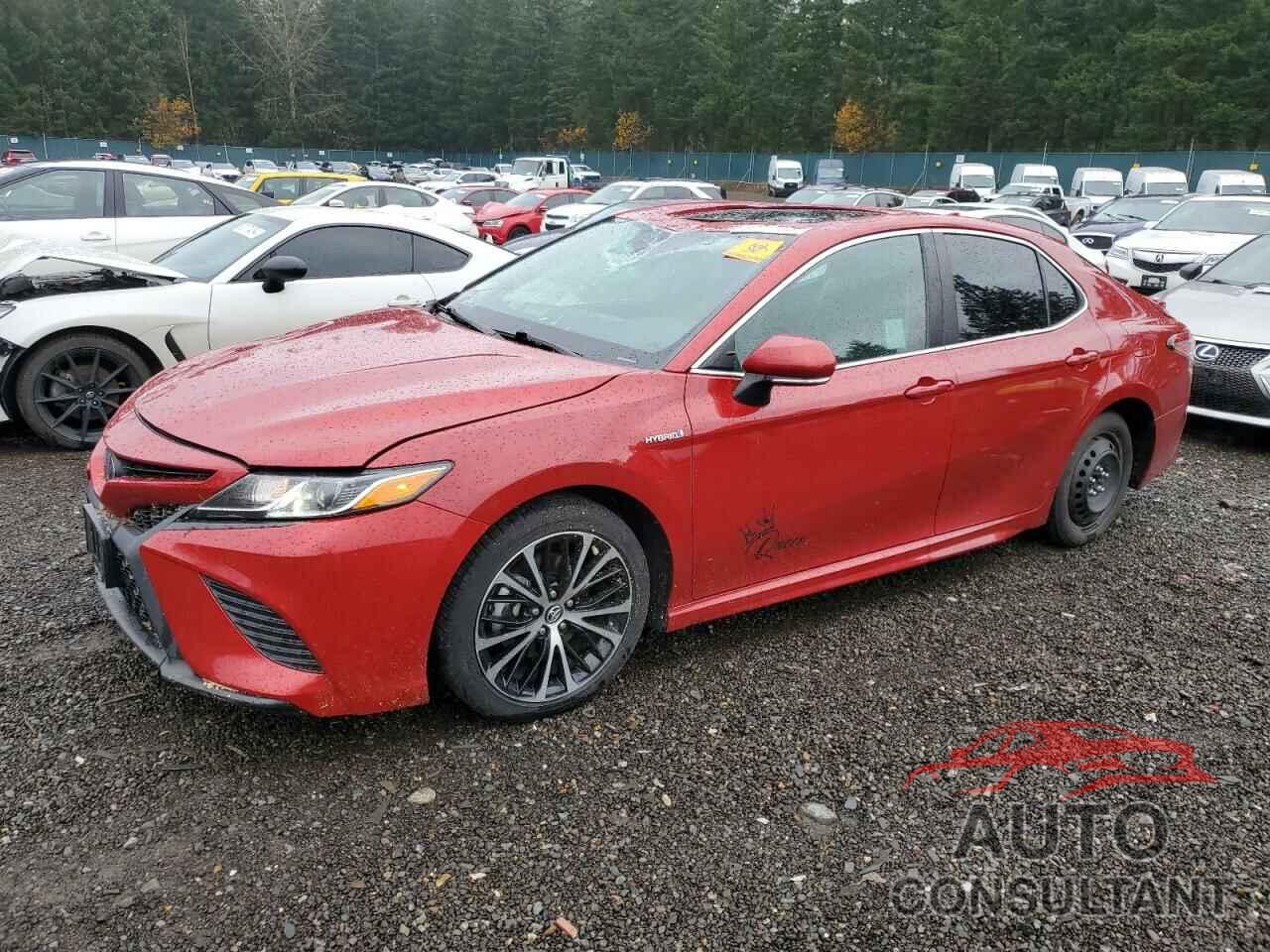 TOYOTA CAMRY 2019 - 4T1B21HK1KU010512