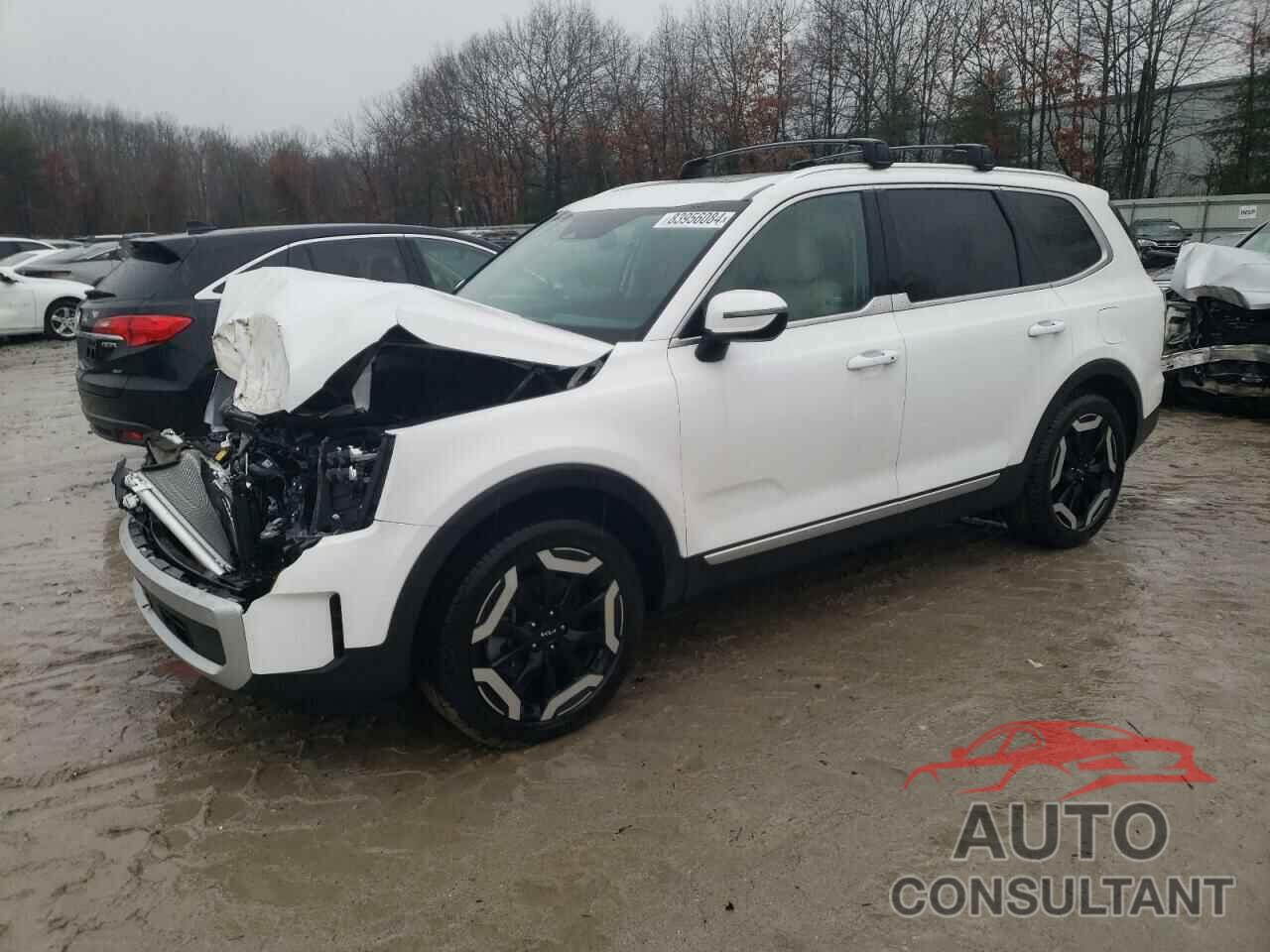 KIA TELLURIDE 2024 - 5XYP34GCXRG487275