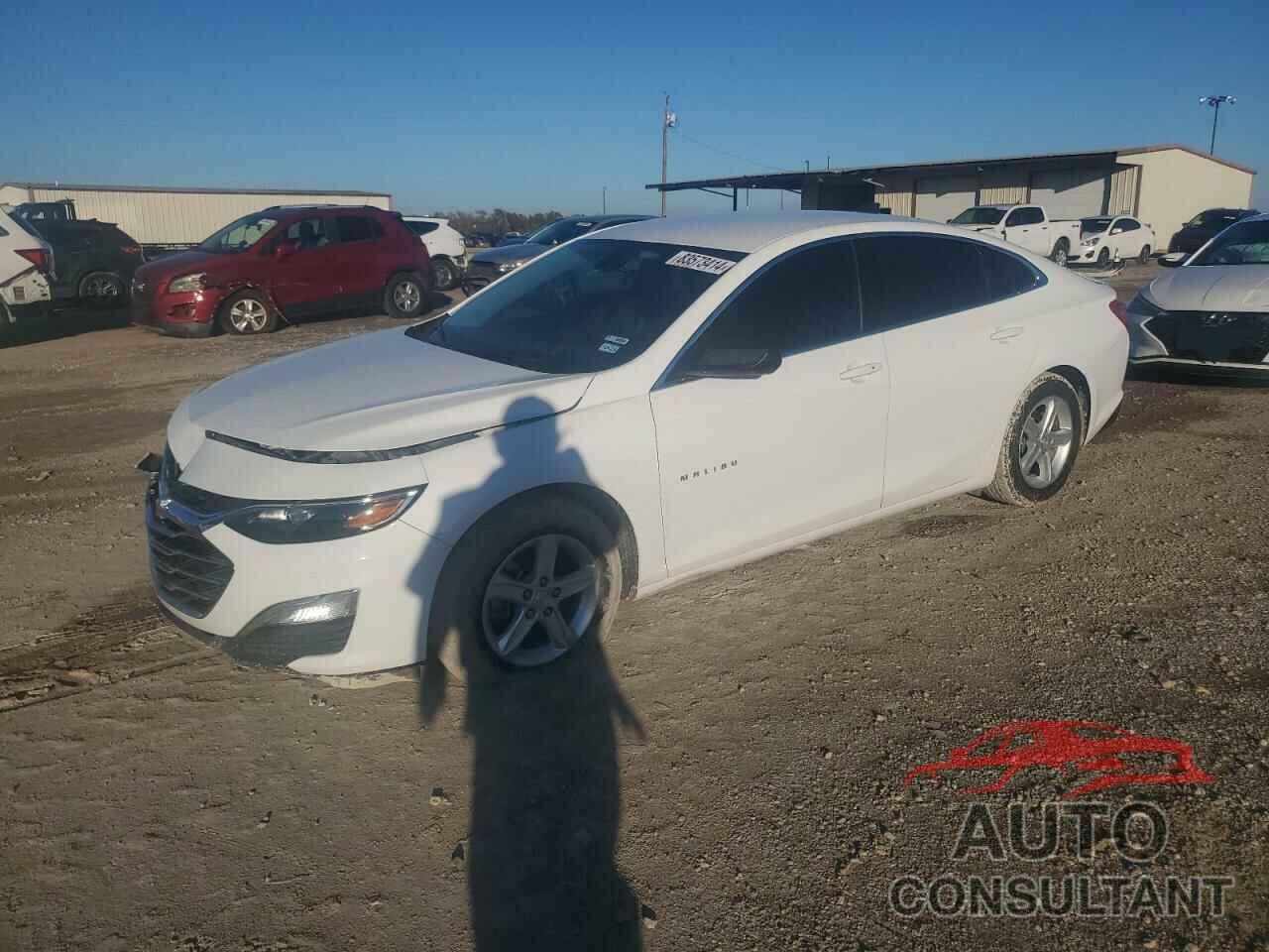 CHEVROLET MALIBU 2020 - 1G1ZB5ST6LF017174