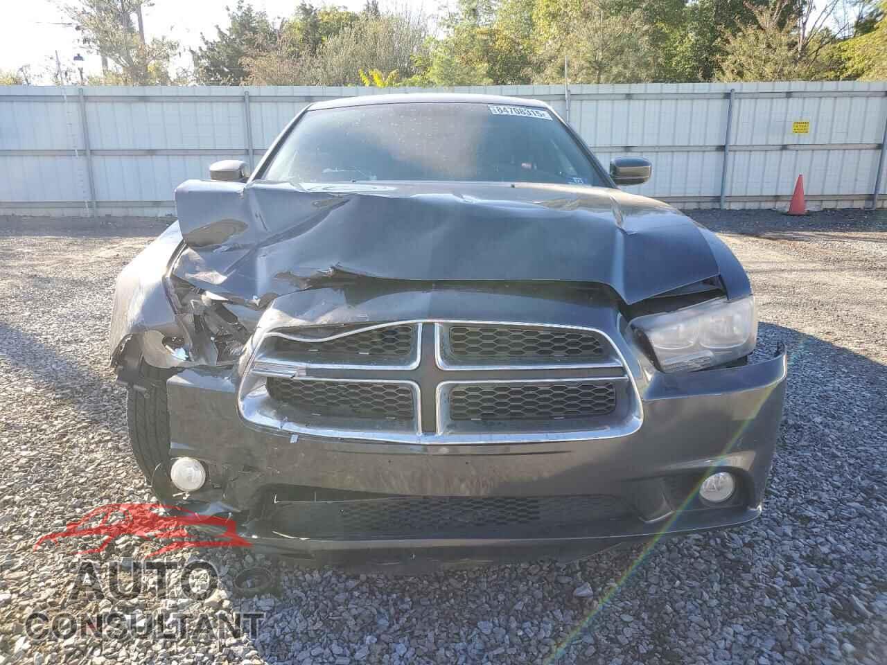 DODGE CHARGER 2013 - 2C3CDXJG1DH602143