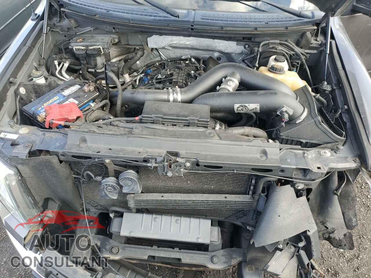 FORD F-150 2011 - 1FTFX1ET7BFC33209