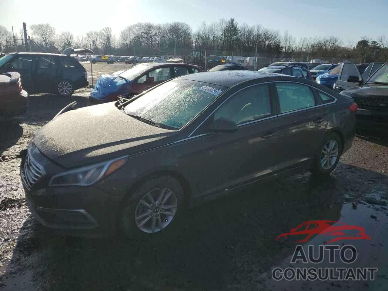 HYUNDAI SONATA 2015 - 5NPE24AF1FH168915