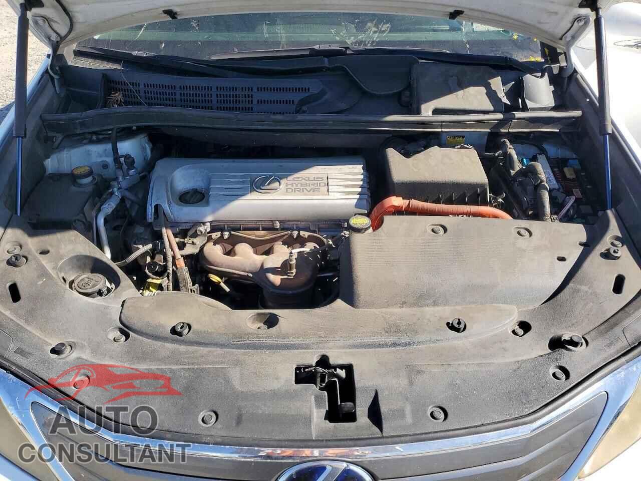LEXUS HS 2010 - JTHBB1BA0A2020784