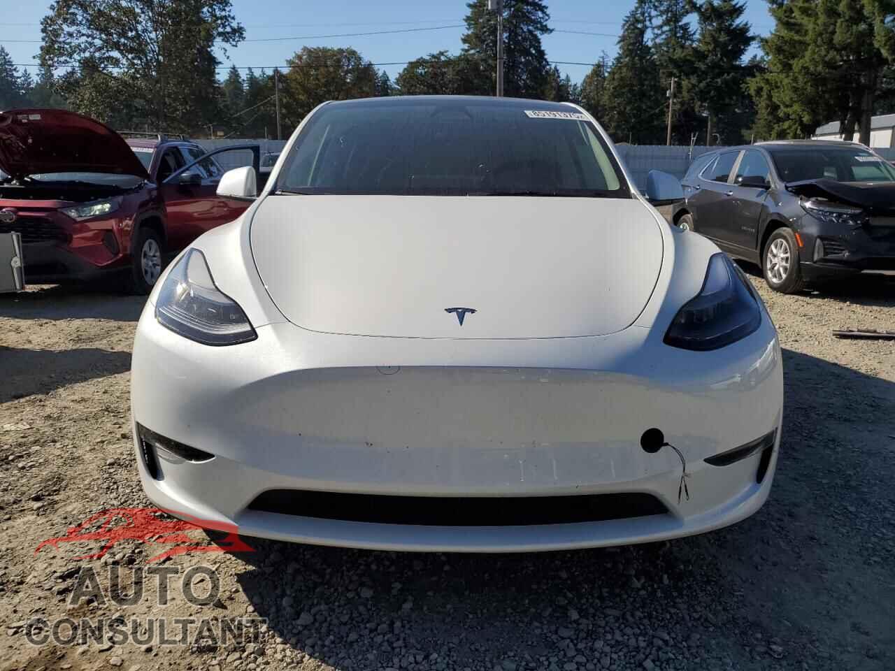 TESLA MODEL Y 2024 - 7SAYGDEE0RF205457