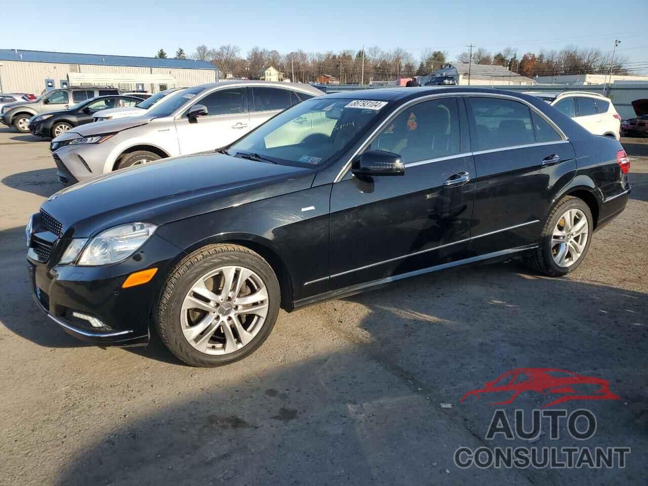 MERCEDES-BENZ E-CLASS 2010 - WDDHF8HB6AA206947