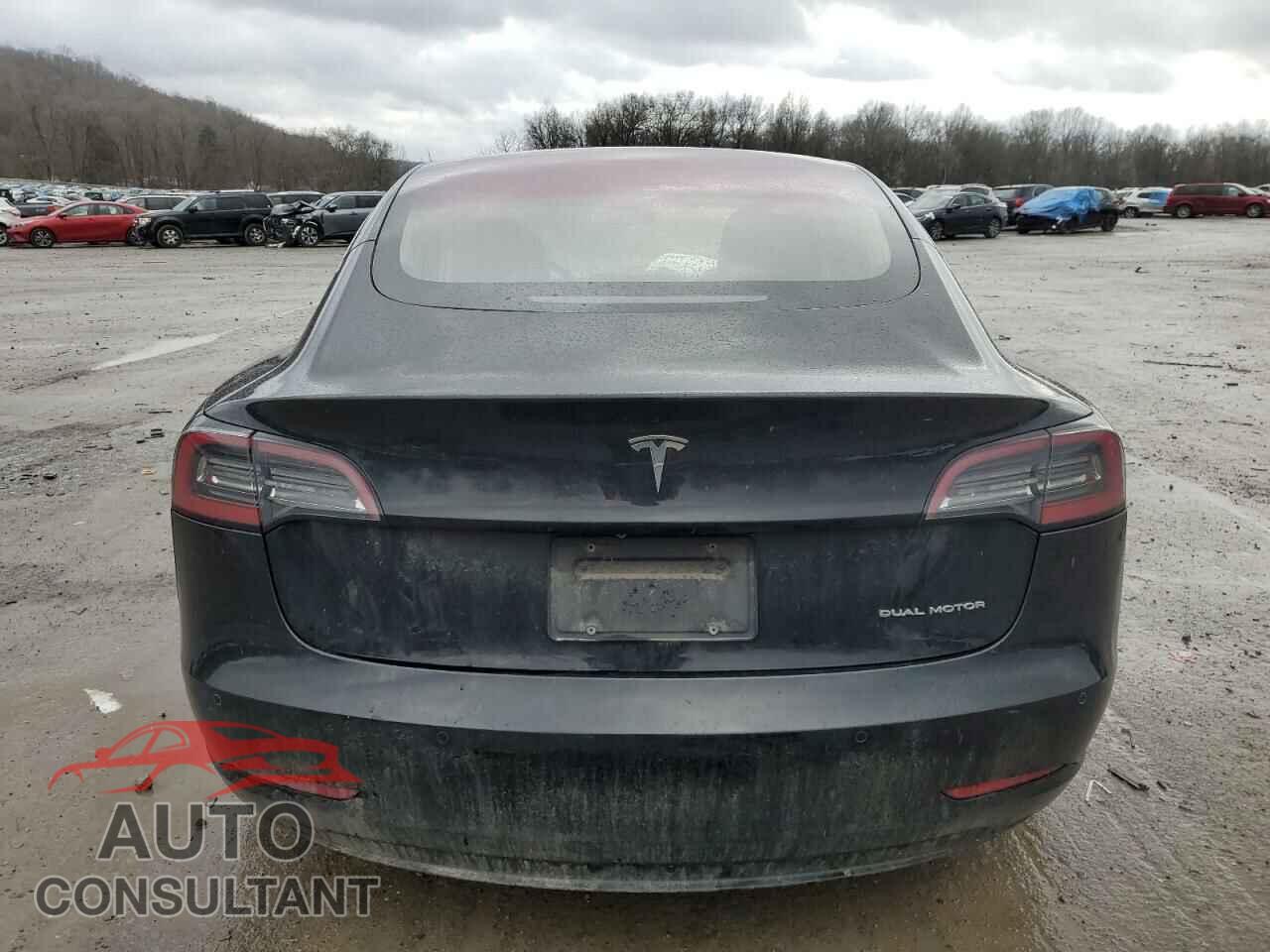 TESLA MODEL 3 2019 - 5YJ3E1EB7KF199051
