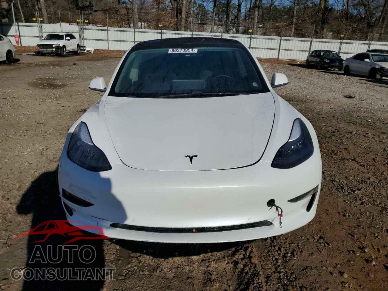 TESLA MODEL 3 2019 - 5YJ3E1EA2KF446595