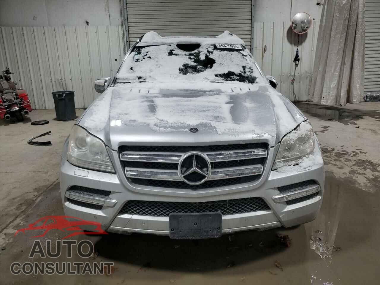 MERCEDES-BENZ GL-CLASS 2010 - 4JGBF2FE5AA610876