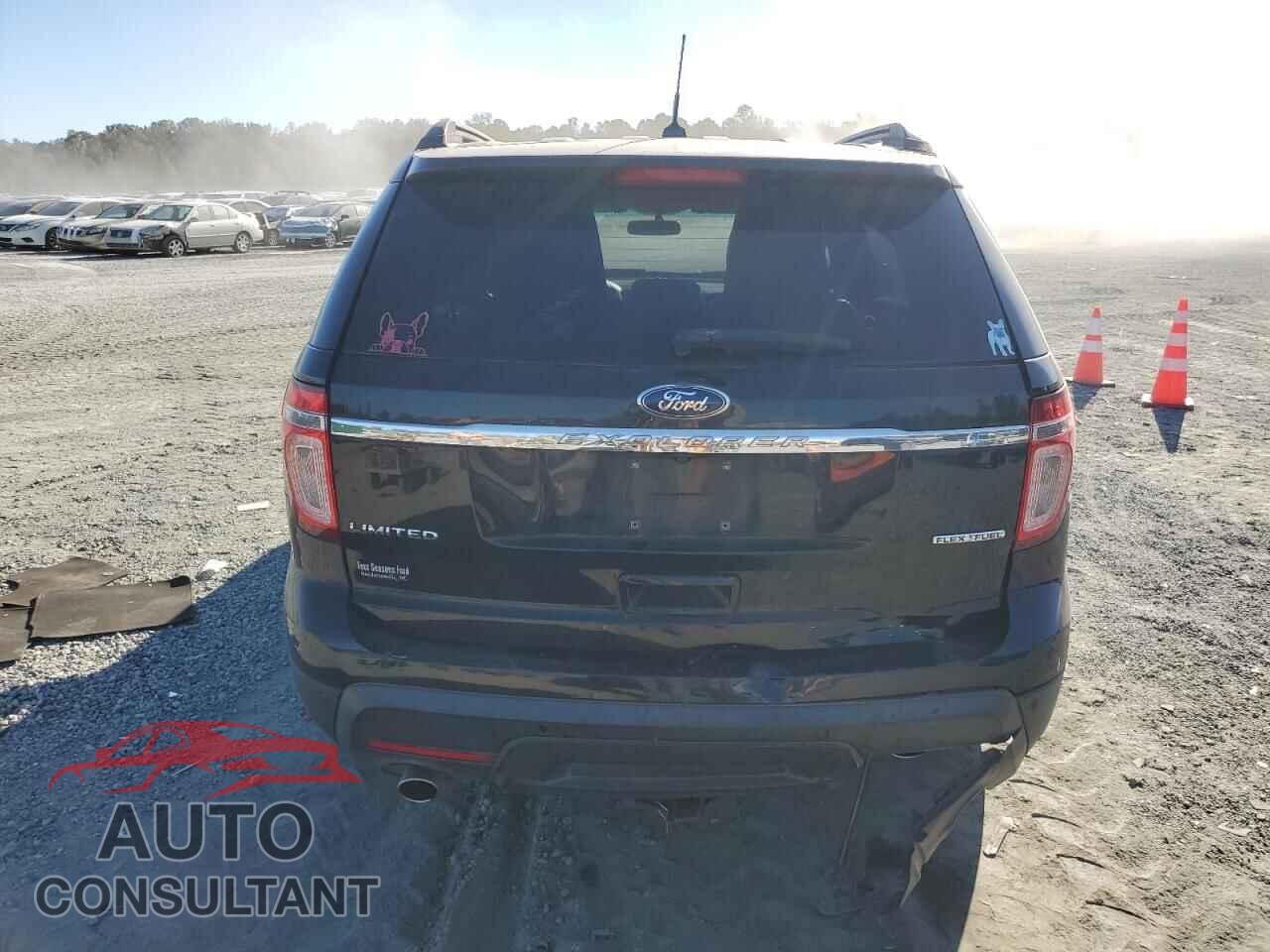 FORD EXPLORER 2013 - 1FM5K7F82DGA67567