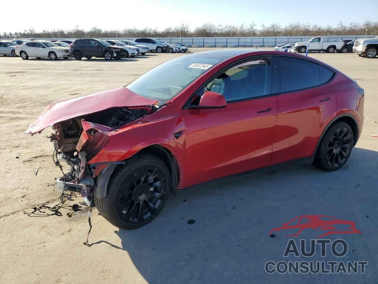TESLA MODEL Y 2023 - 7SAYGAEE7PF832264
