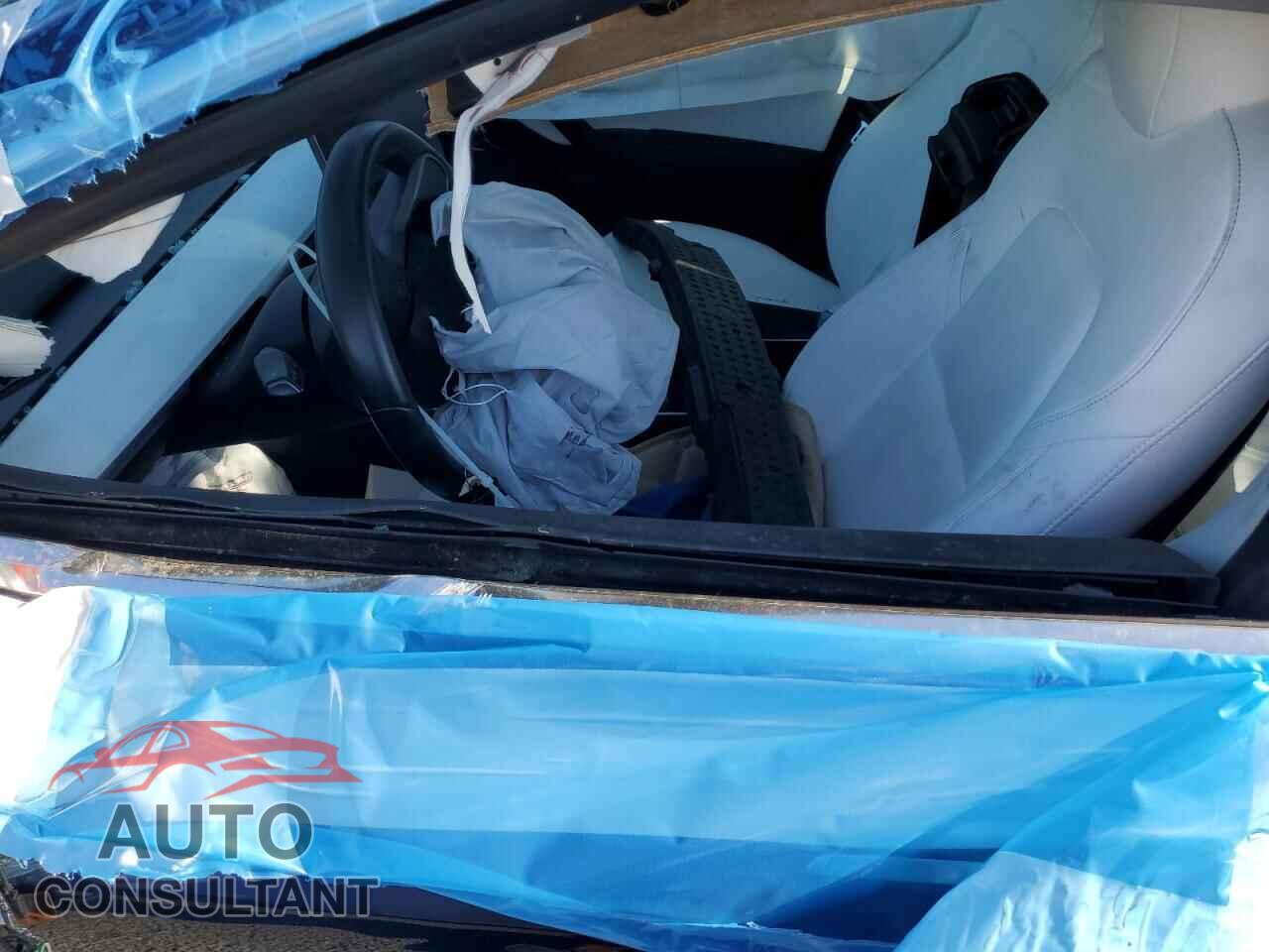 TESLA MODEL 3 2019 - 5YJ3E1EA1KF363028