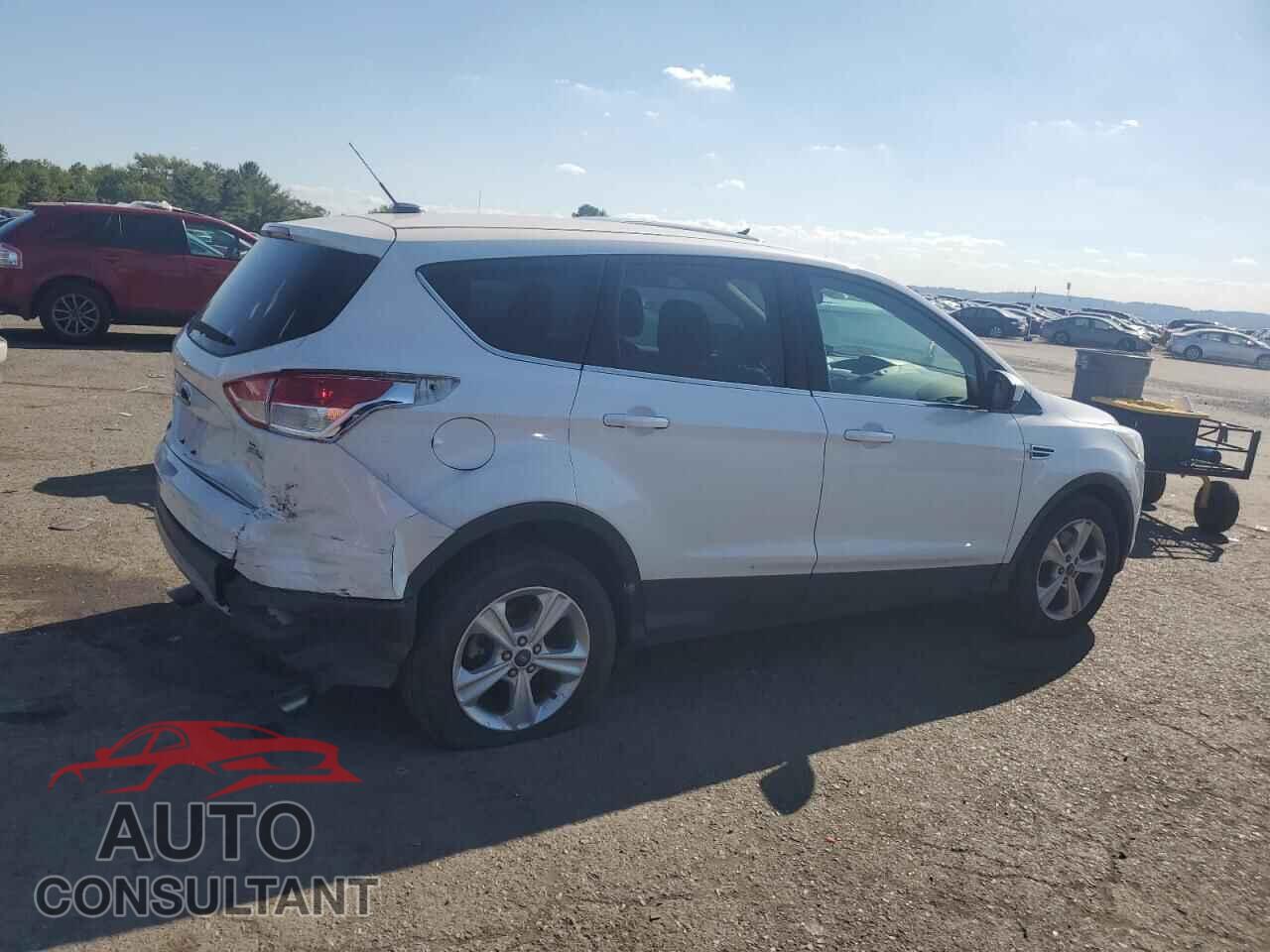 FORD ESCAPE 2014 - 1FMCU9GX9EUC99086