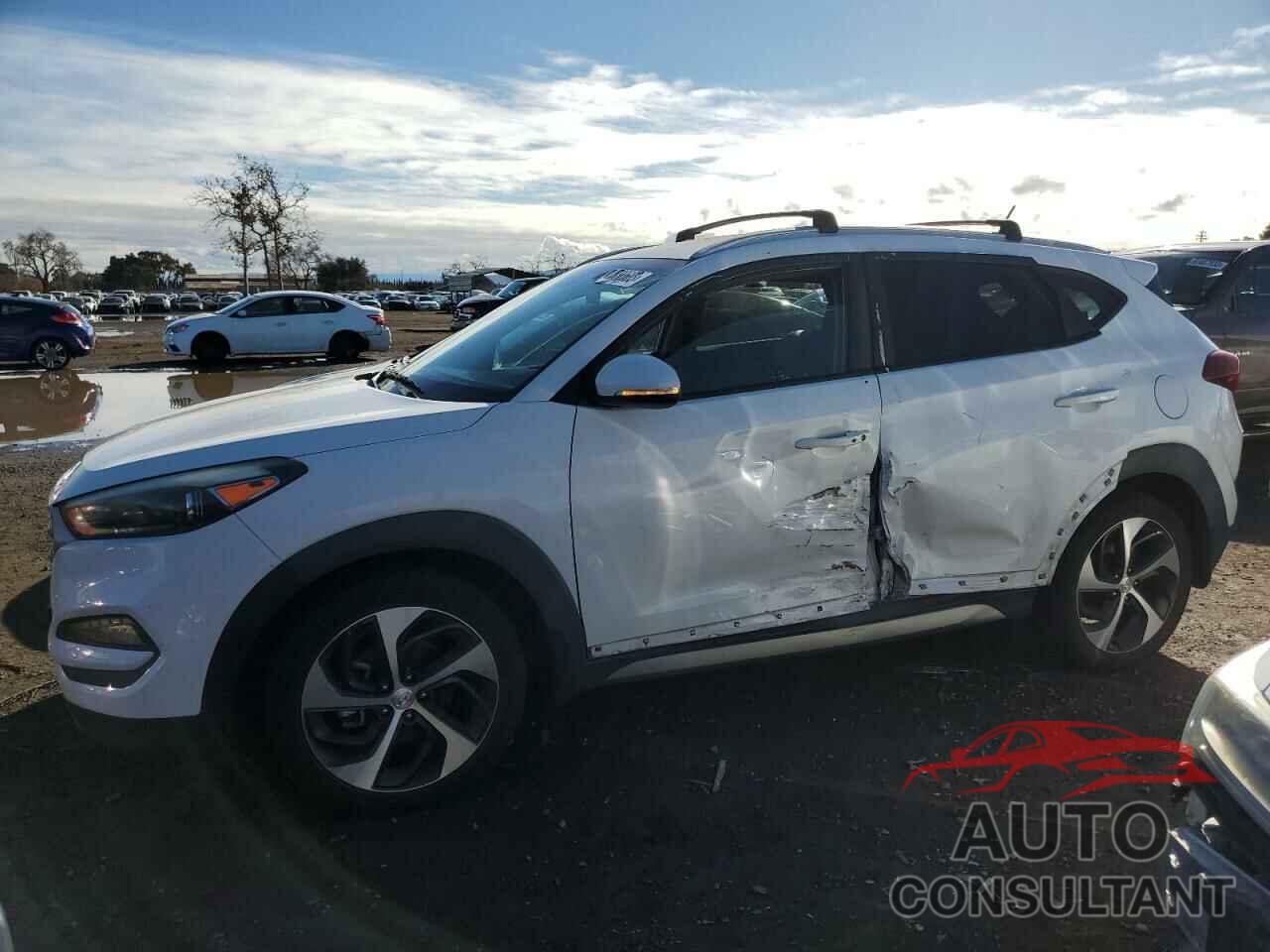 HYUNDAI TUCSON 2017 - KM8J3CA25HU294539