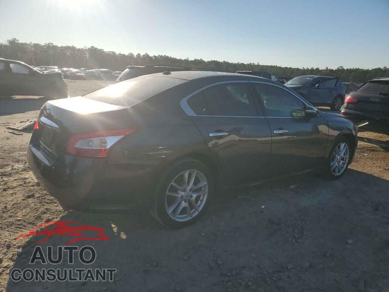 NISSAN MAXIMA 2011 - 1N4AA5AP0BC842337