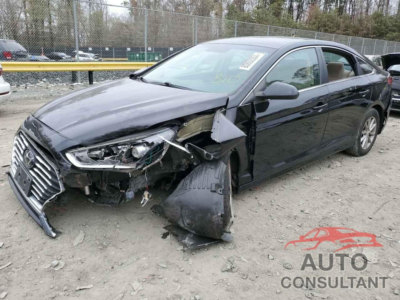 HYUNDAI SONATA 2019 - 5NPE24AF5KH734665