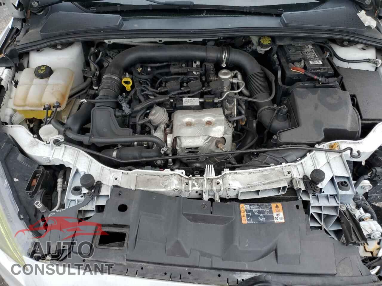 FORD FOCUS 2016 - 1FADP3FE6GL371308