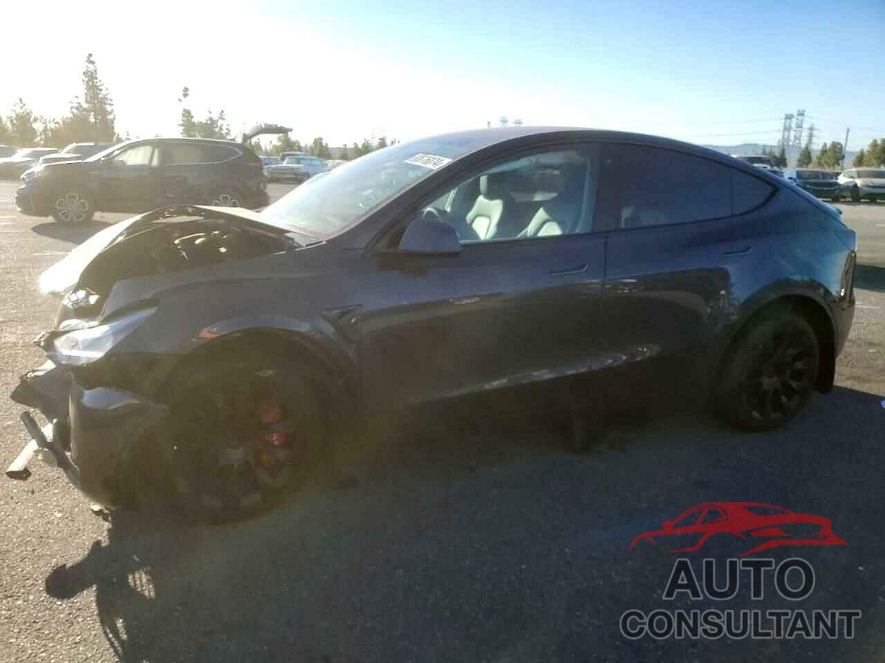 TESLA MODEL Y 2021 - 5YJYGDEE8MF181124