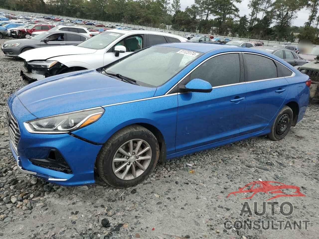 HYUNDAI SONATA 2019 - 5NPE24AF0KH736923