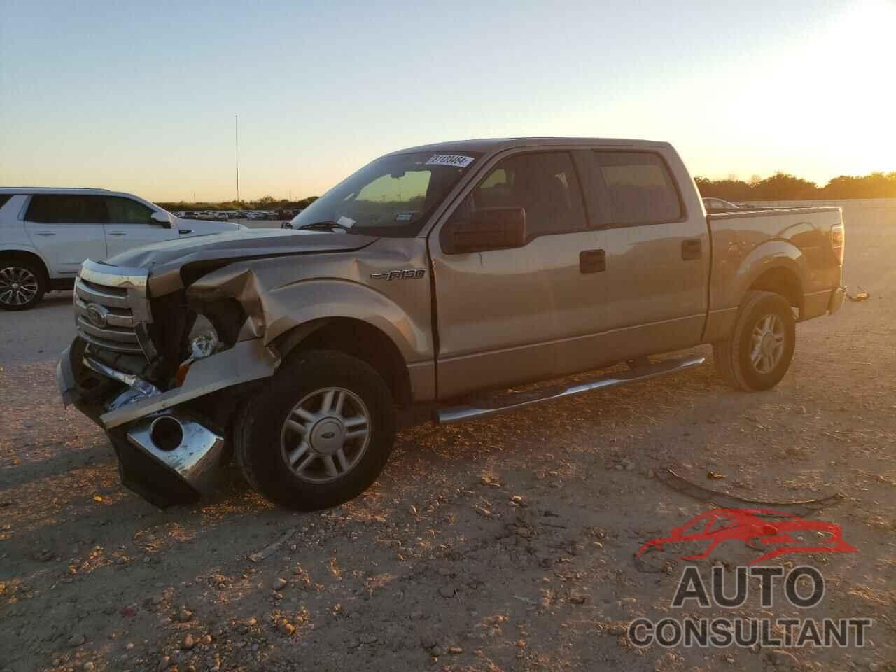 FORD F-150 2011 - 1FTEW1CM0BFB23161